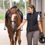Helite Airshell Vest black and blue worn in stable